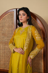 2 Piece Chiffon Suit (FR1044)